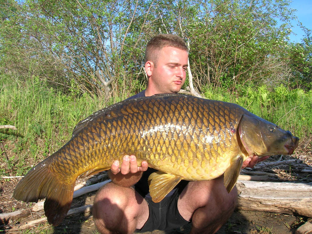 BRIGADA DIVERSE  - DSCN0102.JPG